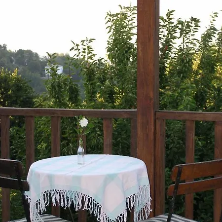 Hotel Tsagarada