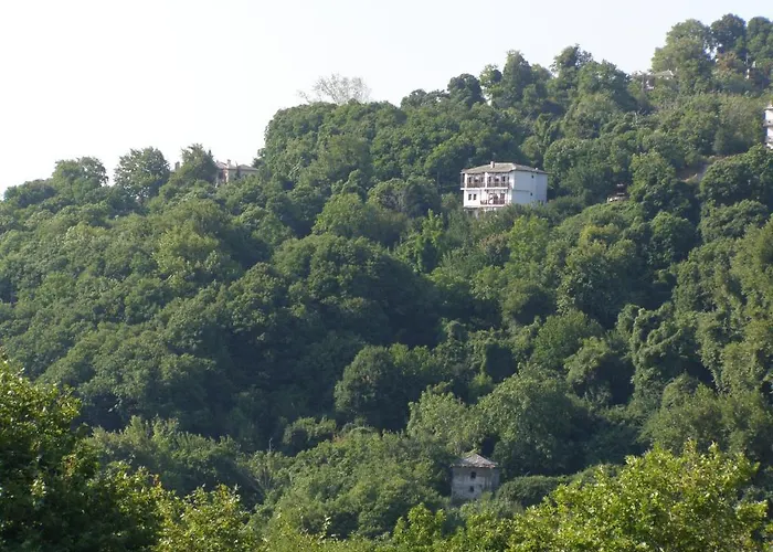 فندق Hotel Tsagarada